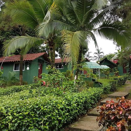 Los Pinos De Torio Luaran gambar