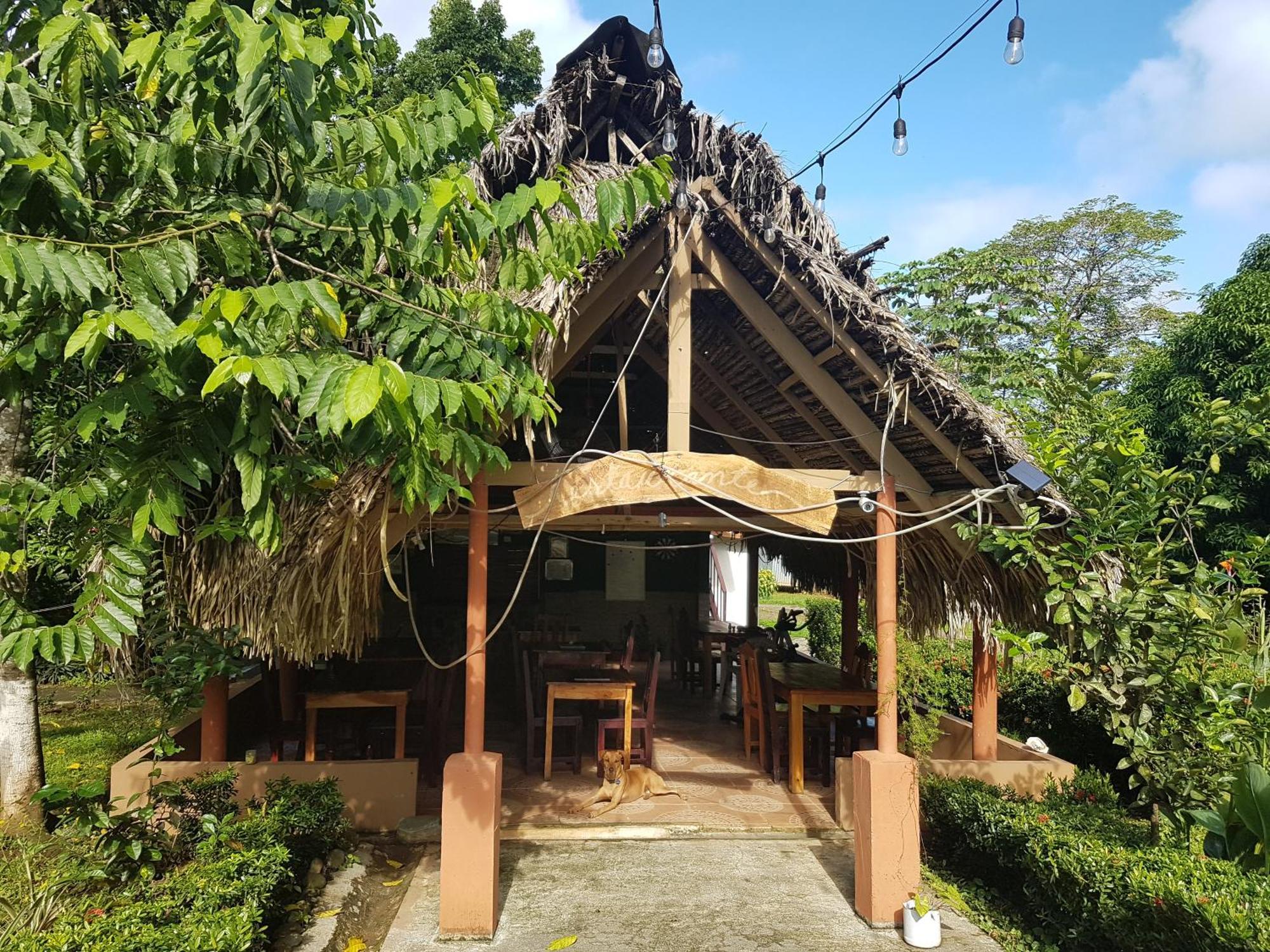 Los Pinos De Torio Luaran gambar