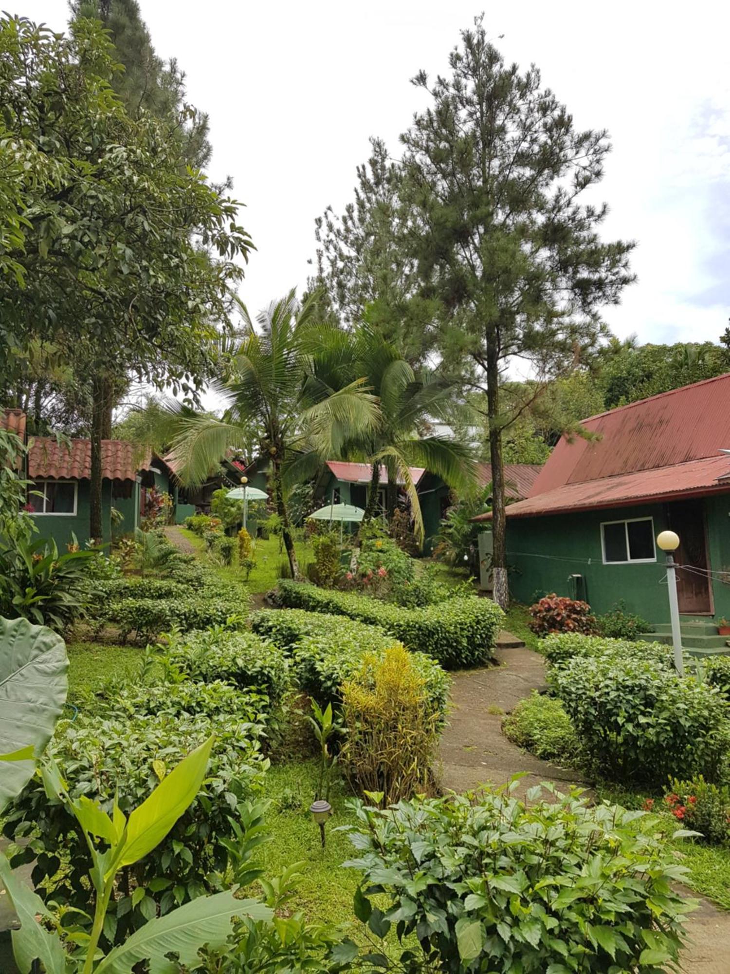 Los Pinos De Torio Luaran gambar