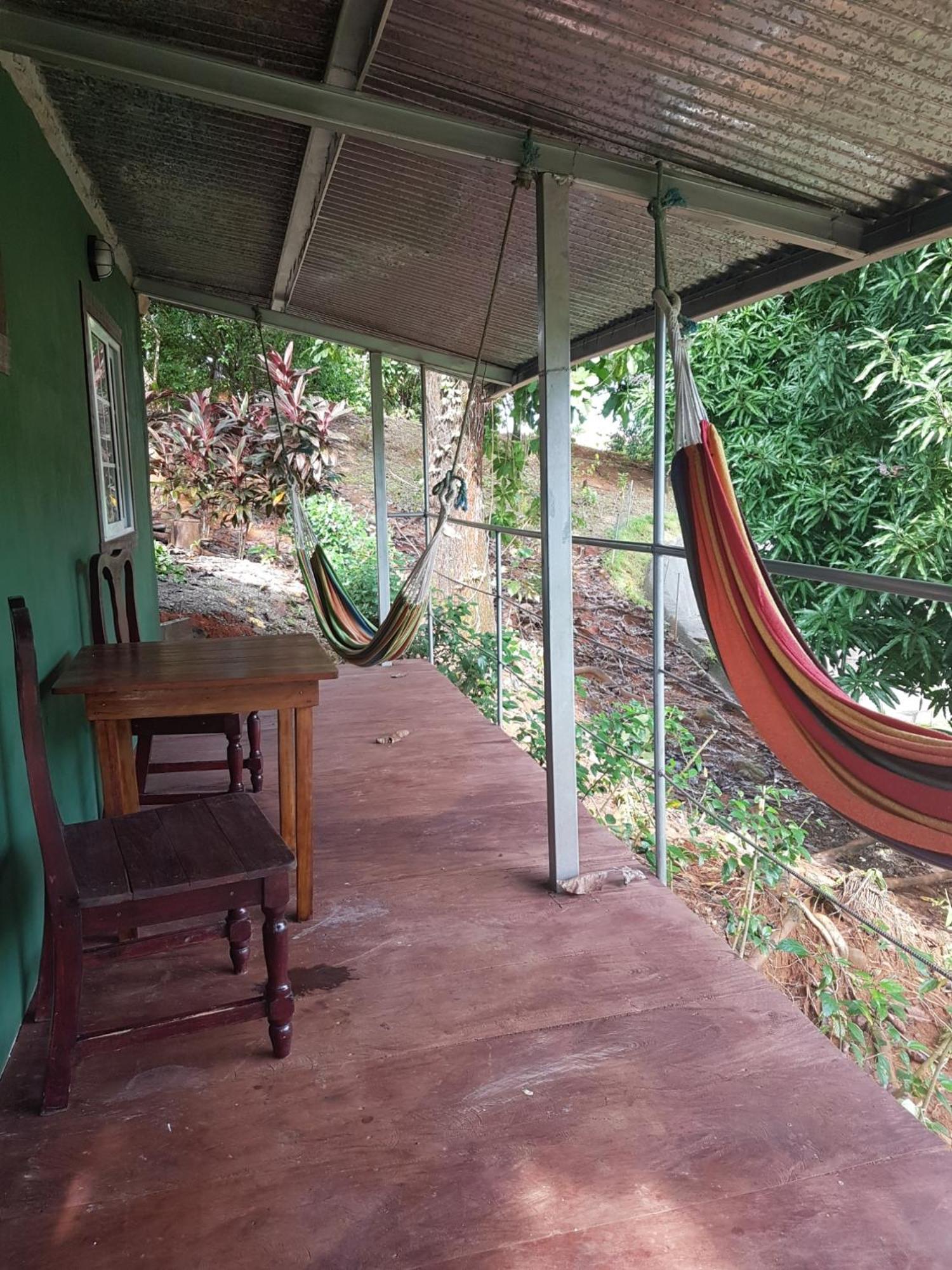 Los Pinos De Torio Luaran gambar